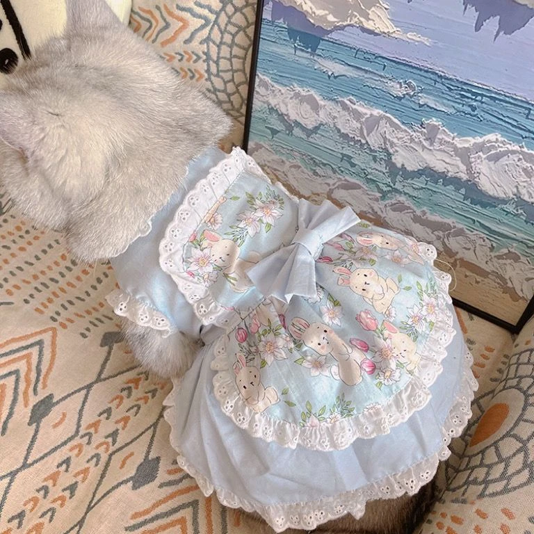 ชุดเดรสผ้ากันเปื้อนน่ารักสำหรั - Lace Teddy Lingerie บทวิจารณ์และราคา