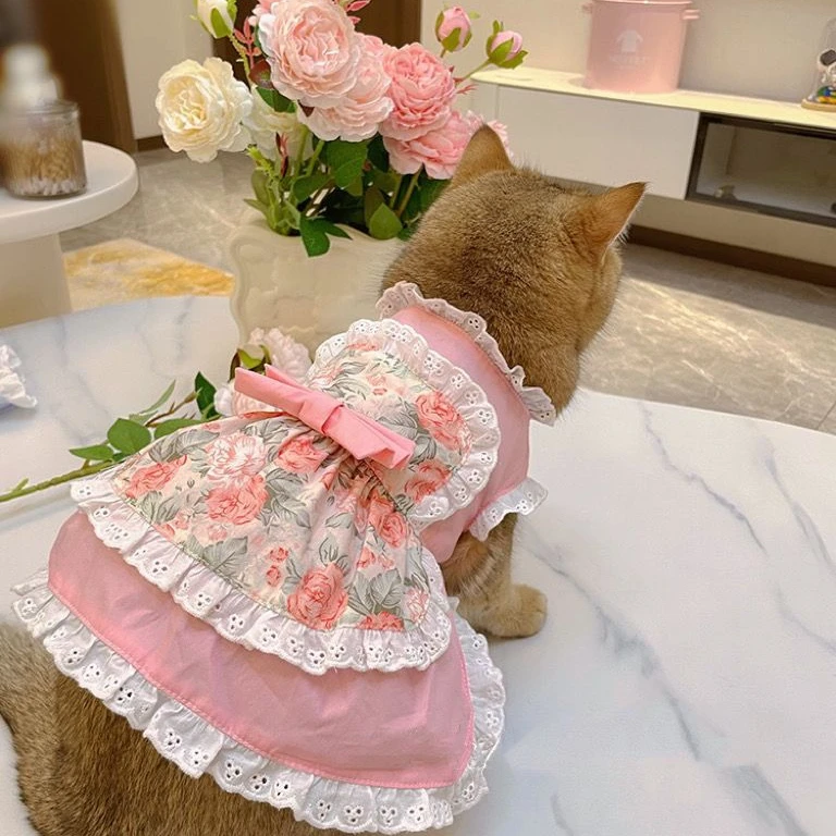 ชุดเดรสผ้ากันเปื้อนน่ารักสำหรั - Lace Teddy Lingerie บทวิจารณ์และราคา
